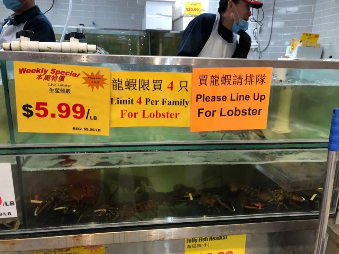 疫情导致龙虾价格大跌！多伦多全城掀起疯狂吃虾热潮，部分超市还要限购！