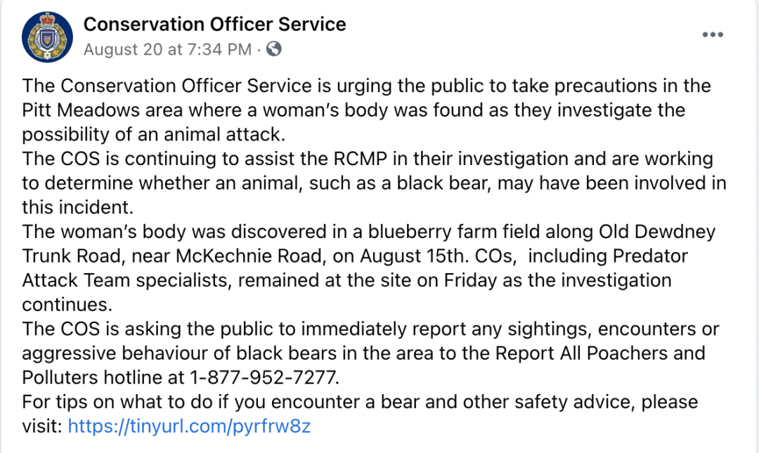 恐怖！加拿大女子農場摘藍莓意外死亡 疑似被動物活活咬死！