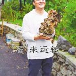 李亚鹏开短视频获百万粉丝 否认挖走李子柒团队