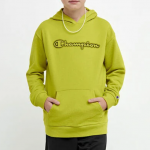 限今天!Champion兒童衛衣$24.98