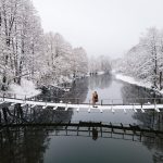 預測來了:今冬加拿大降雪量可能遠低平均水平